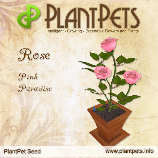 PlantPet Seed [Rose *Pink Paradise*] rare Release Year 2011