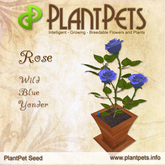 PlantPet Seed [Rose *Wild Blue Yonder*] common Release Year 2011