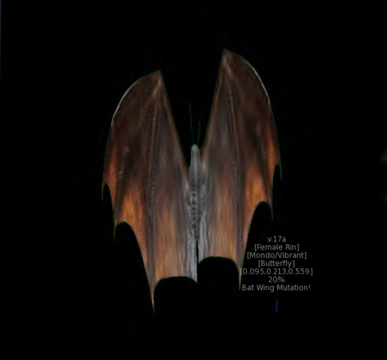 {Papillon} Fe/Mon/Vib/Rin/Butterfly/Bat Cocoon