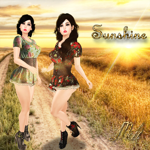 {Melt} Sunshine - Fatpack SUMMER SPECIAL!