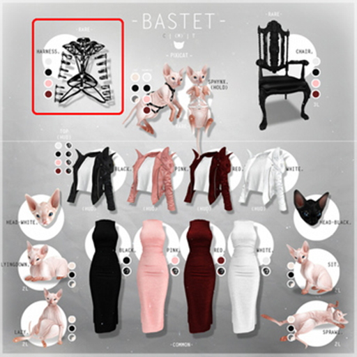 -Pixicat- Bastet.Harness (s) RARE