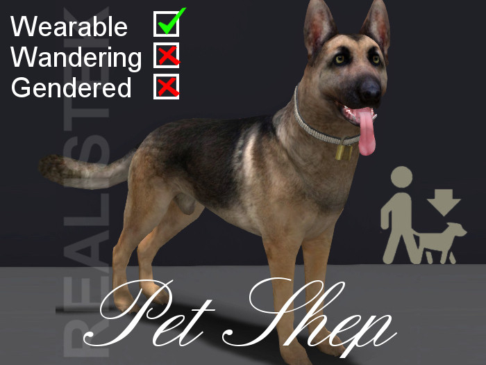 Pet Dog - Shepherd Tan W--