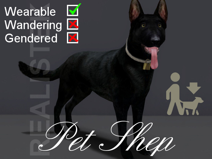 Pet Dog - Shepherd Black W--