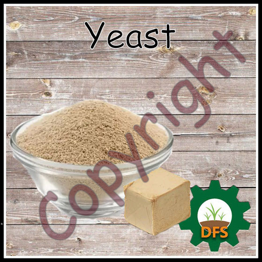 D*Run - DFS Farm (REZZ) - Yeast *only Texture*