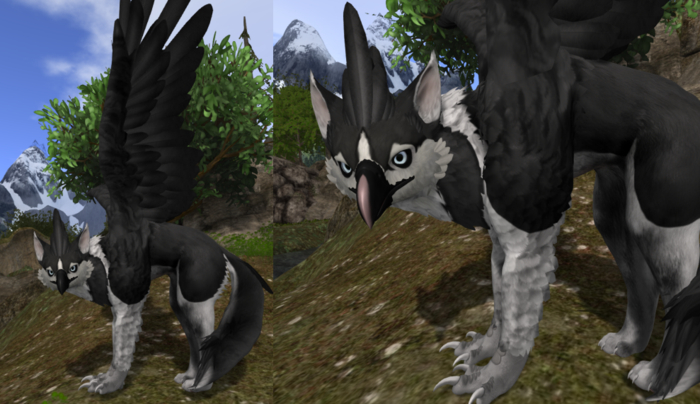 Husky Griffin Package