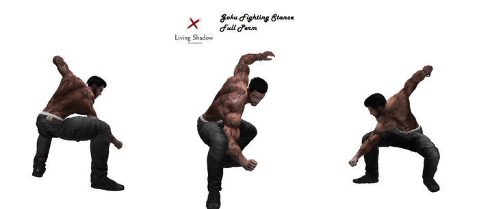 .:Living Shadow:. Goku FIght Stance Animation