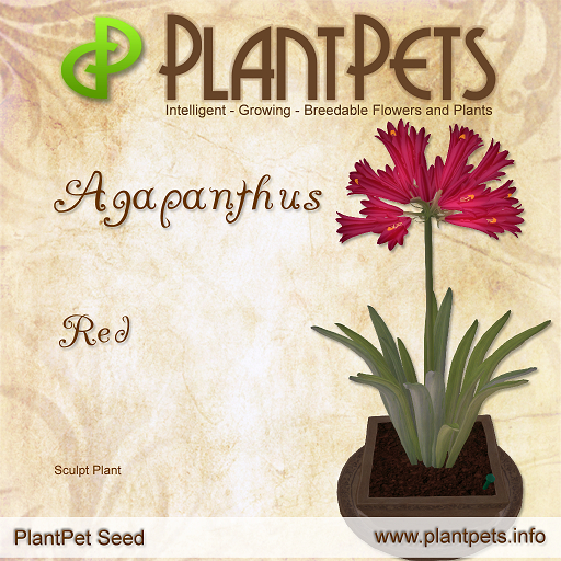 PlantPet Seed [Agapanthus *Red*]
