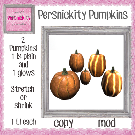 Persnickity Pumpkins