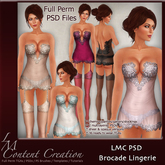 LMC Designer PSD Files  - Brocade Lingerie - Lace encrusted BOM lingerie set