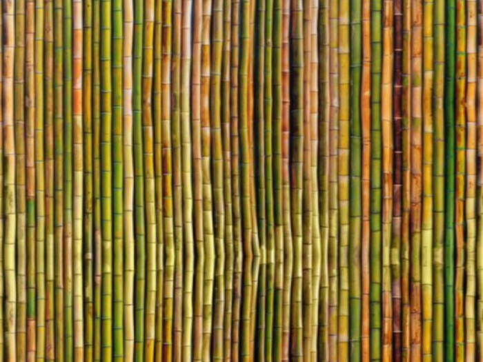 Bamboo Fence Texture