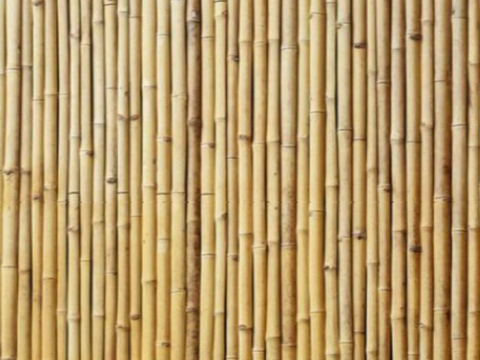 Bamboo Fence Texture