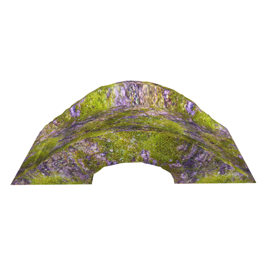mossy rocky footbridge