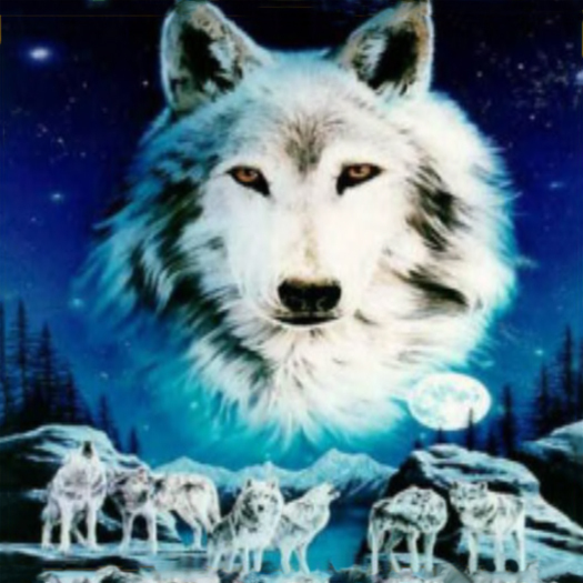 WOLVES