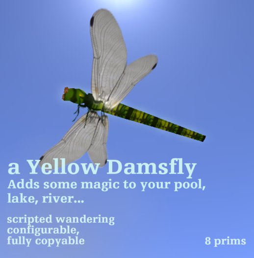yellow damsfly scripted