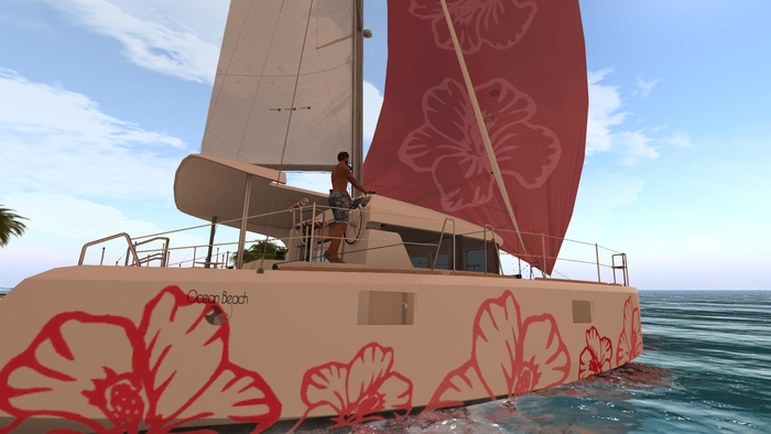 Ocean Beach Red Flowers