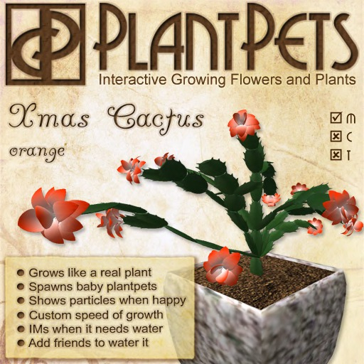 PlantPet Seed [Xmas Cactus *Orange*] Updated
