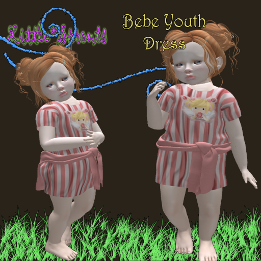 (Bebe Y) L*S- Flower Angel Dress (Boxed)