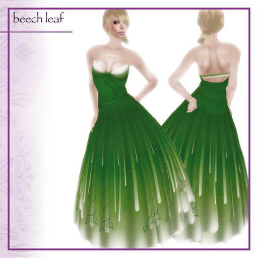 .SA. beech leaf