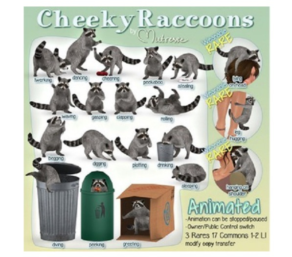 Mutresse-Cheeky Raccoons-Sleeping