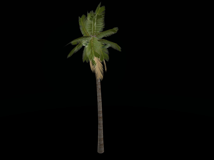 Full Perm Plants "Palm Tree tall"