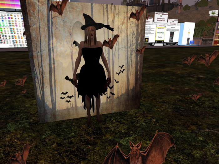 Batty Witch (Boxed)