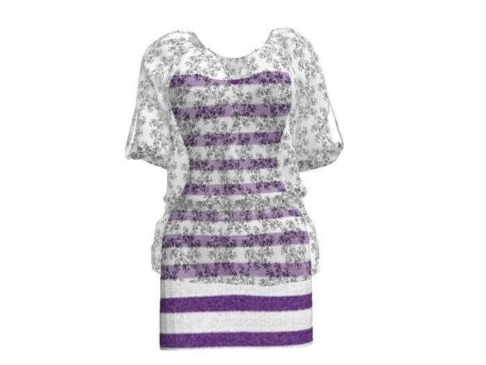 Translucent Blouse & Dress Box No.1*