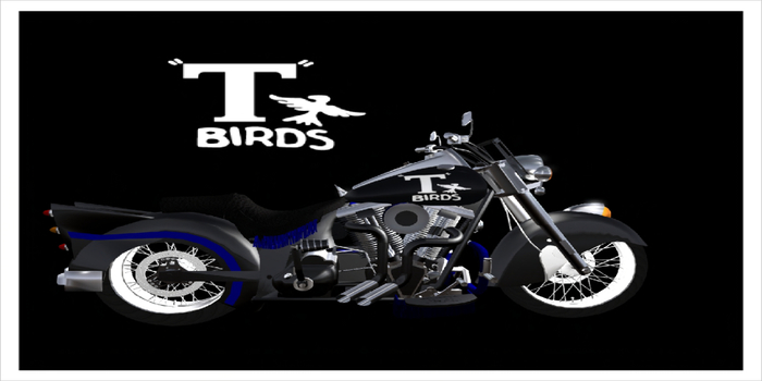 T Bird Retro 1950