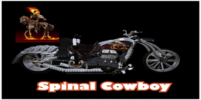 Spinal Cowboy
