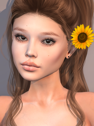 Contour'S Shape CATWA HDPRO MajerSoft GINA