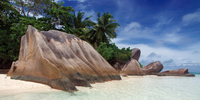 Beach  Textur