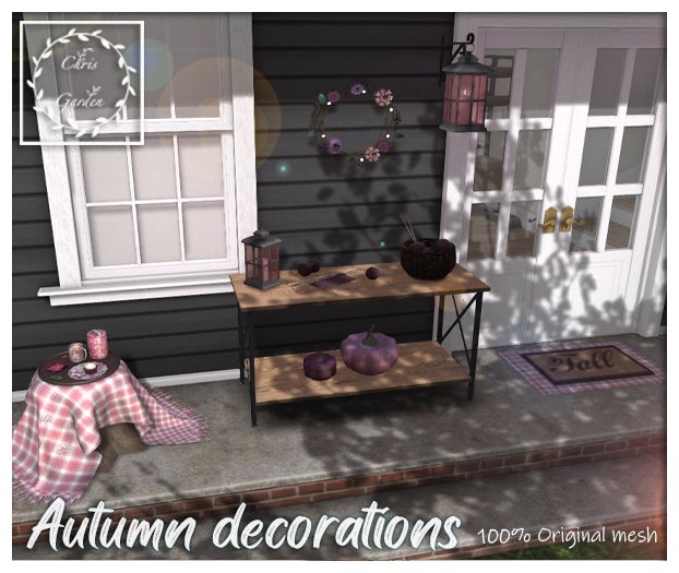 C*Autumn decorations set