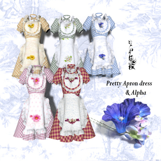 Pretty Apron dress Box No.2