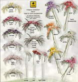 *LODE* Head Accessory - Freesia [purple]