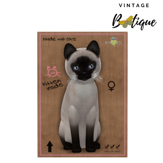 KittyCatS Box - New Born Kitten