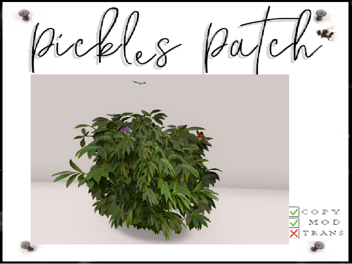 Pickle's Patch - Butterfly Bush round