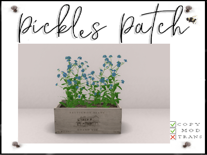 Pickle's Patch - Blue Forgetmenots 
