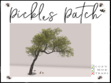 Pickle's Patch - The Sparrow Tree