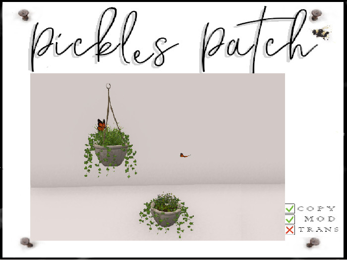 Pickle's Patch - Butterfly Pot Set 