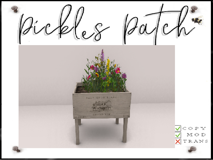 Pickle's Patch - Flower Bloom Box A.