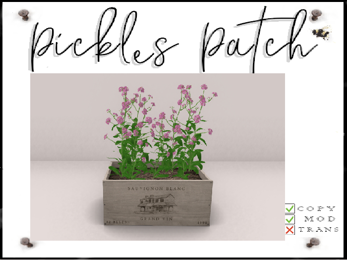 Pickle's Patch - Pink Forgetmenots 