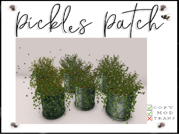 Pickle's Patch - Bee Planter SET