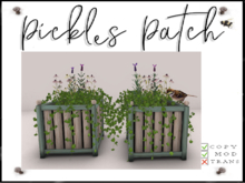 Pickle's Patch - Wild Green Planter Sparrow 