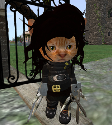 Dinkie Scissorpaws