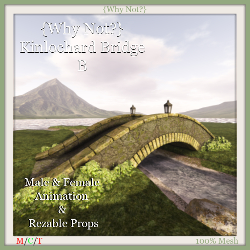 {Why Not?} Kinlochard Bridge B-Boxed