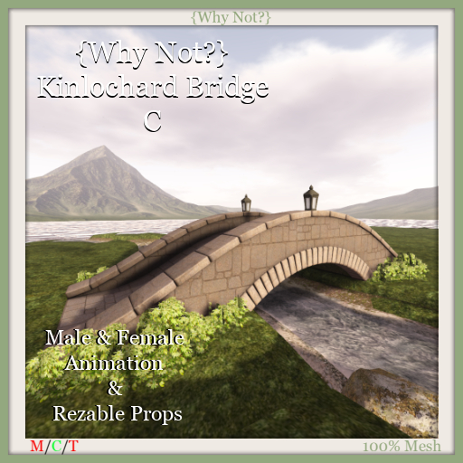 {Why Not?} Kinlochard Bridge C-Boxed