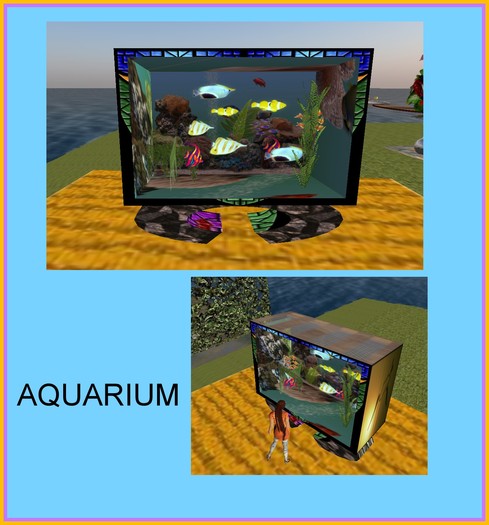 aquarium   pied  nb