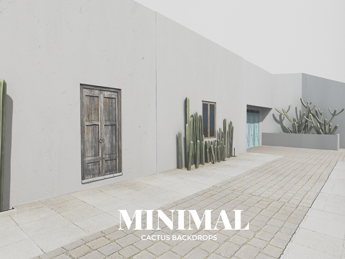 MINIMAL - Cactus Backdrop FATPACK