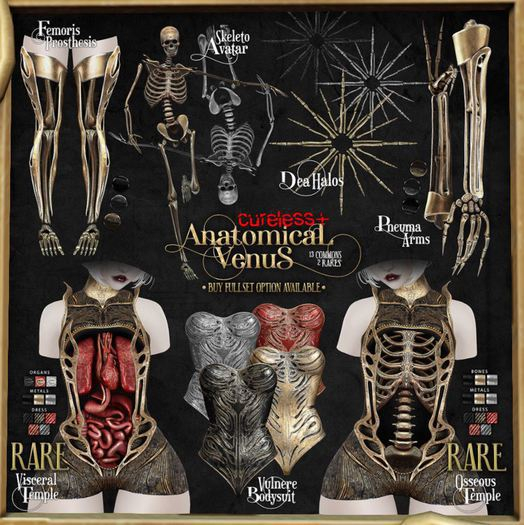 CURELESS[+] Anatomical Venus / M / Femoris Prosthesis / BLACK