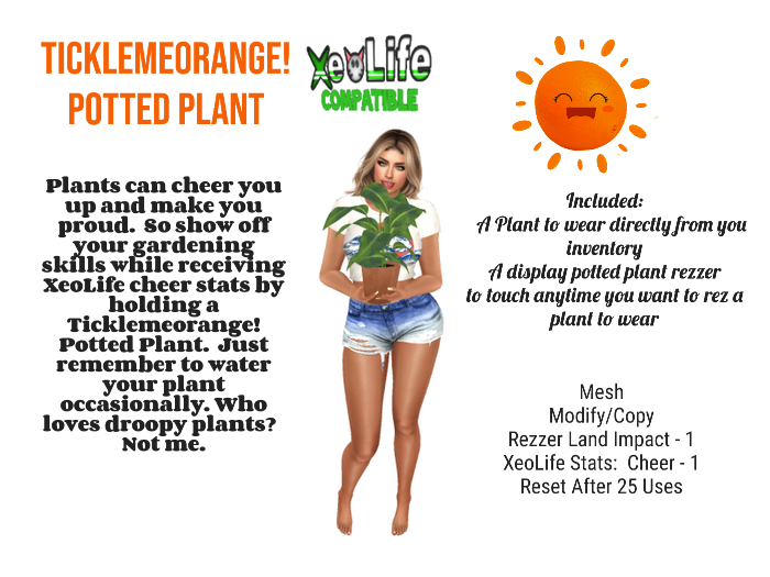 Ticklemeorange! Potted Plant