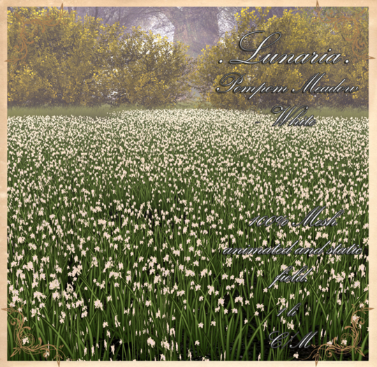 .Lunaria. Pompom Meadow - White 